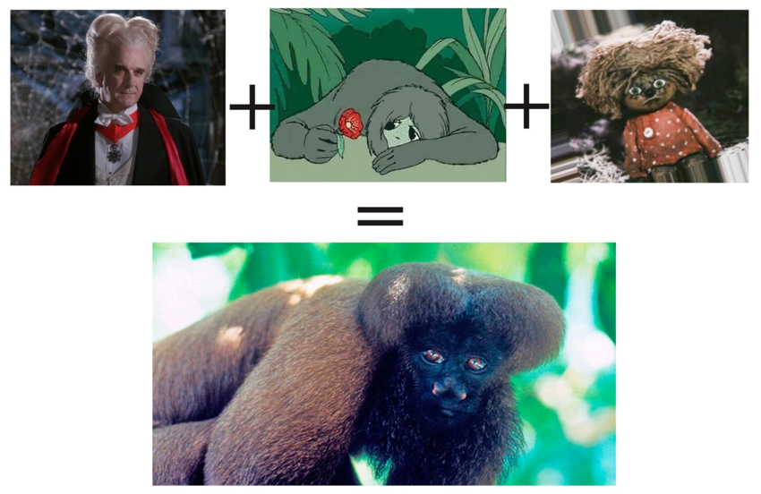 Сатанинская обезьяна: Вдохновлённые графом Дракулой. Оправдывают ли эти приматы своё мрачное прозвище?