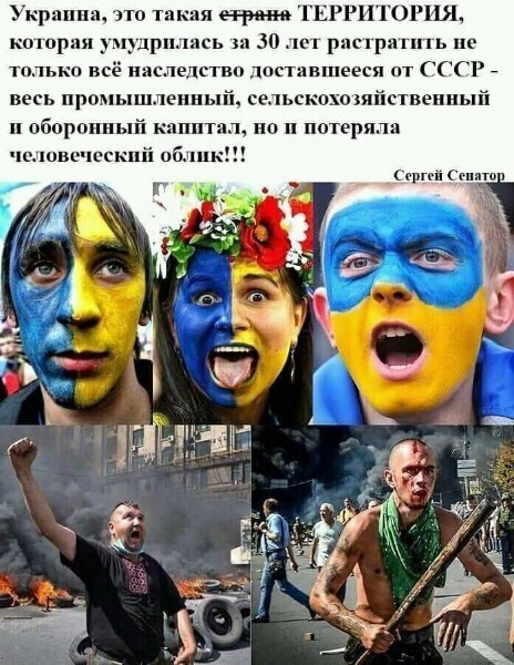 Политические комментарии из инета