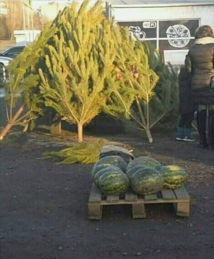 Политические скрины