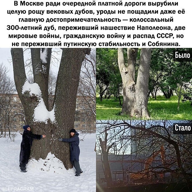 Прикольные и смешные картинки