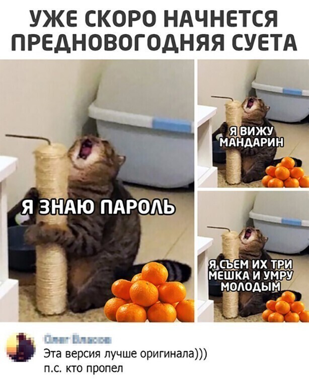 Скрины из социальных сетей