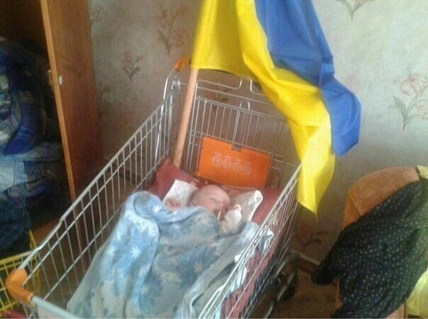О политике и не только