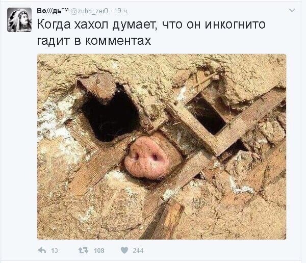 О политике и не только