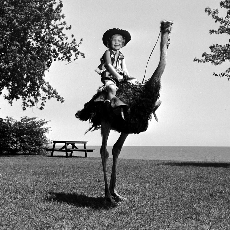Девочка выгуливает своего страуса, 1949 год.