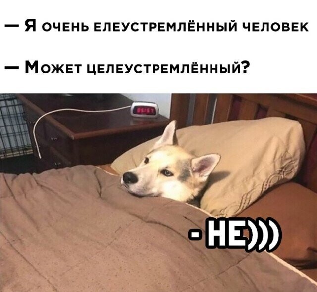 Намешалось