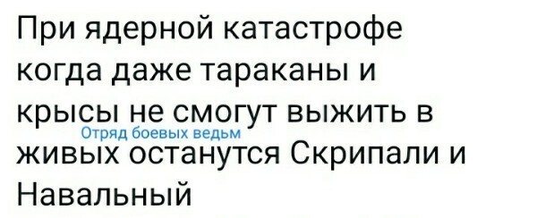 О политике и не только