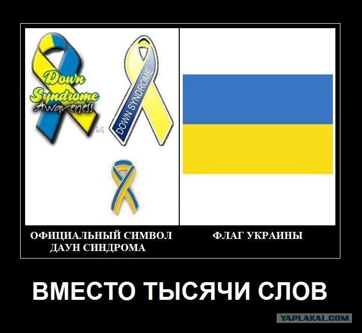 И герб - вилы , и национальный герой - Бандера .