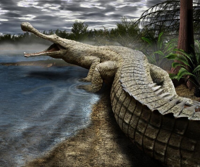 Саркозух: Чем дальше в прошлое, тем толще крокодилы. Кто питался динозаврами?