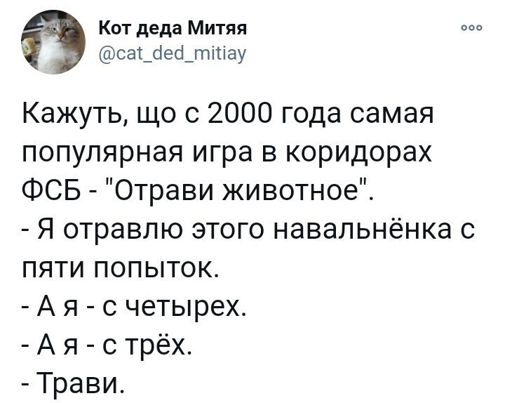 Политические комментарии из инета