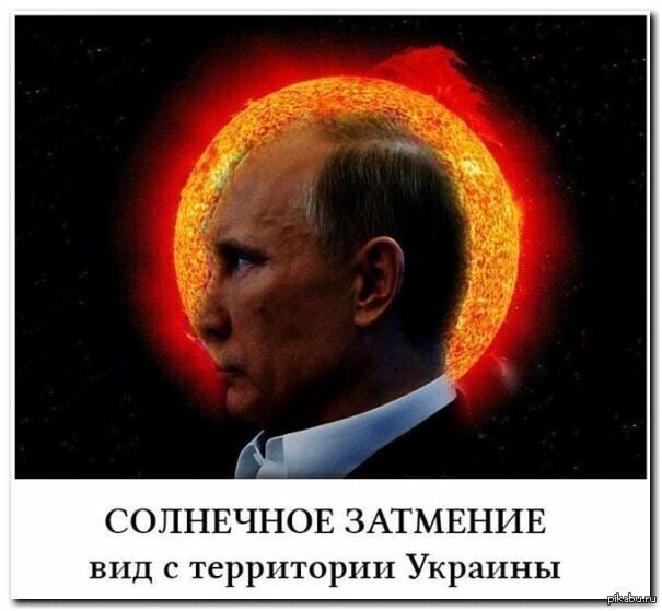 О политике и не только
