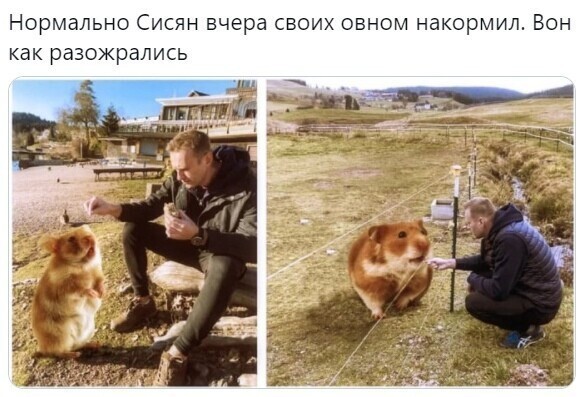 Пора доить !
