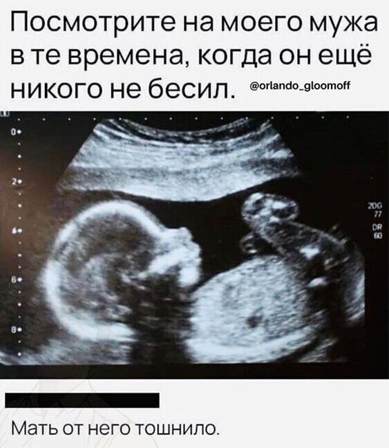 Скрины из социальных сетей