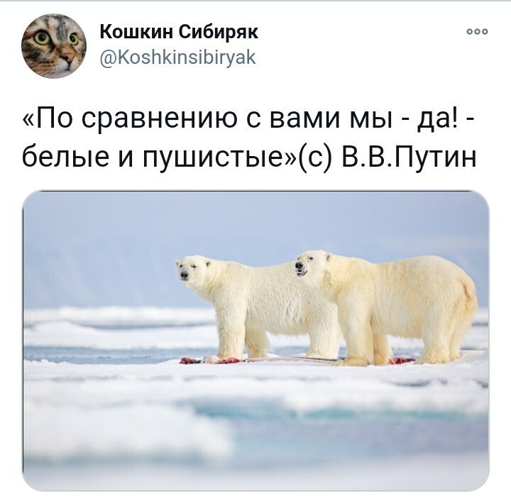 Политические скрины