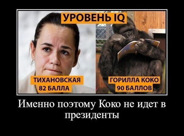 Политические комментарии из инета