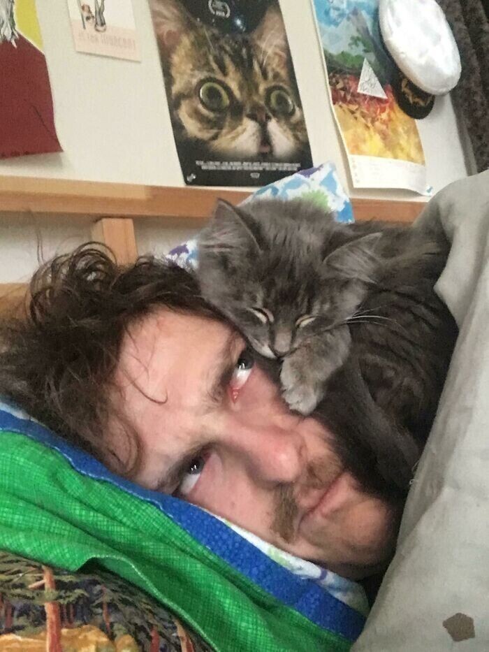 "Мой новый котенок спит только на моей голове"