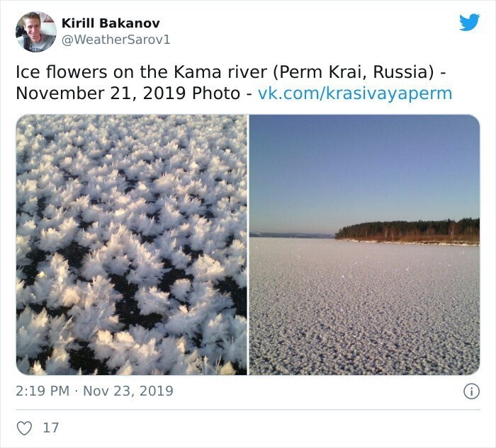 14. Ледяные цветы на реке Кама. Пермский край, 21 ноября 2019 г.