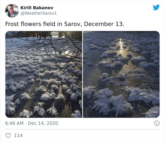 19. Поле снежных цветов, Саров, 13 декабря