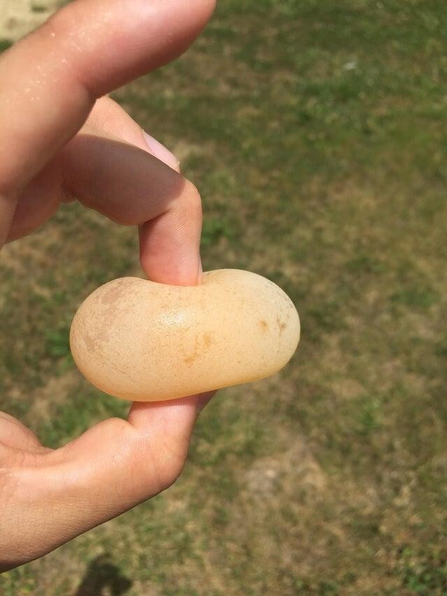 Куриное яйцо без скорлупы