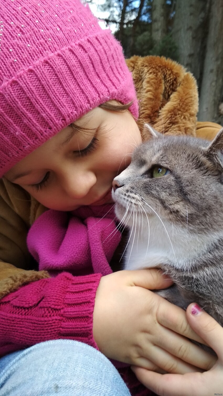 Когда кота не берут родители