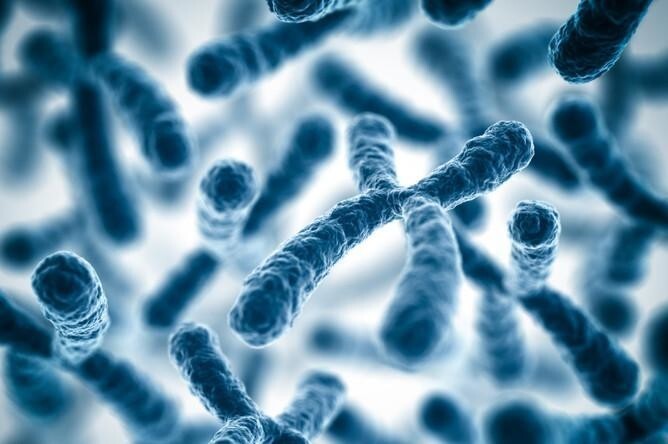 Сколько хромосом у нормального здорового человека