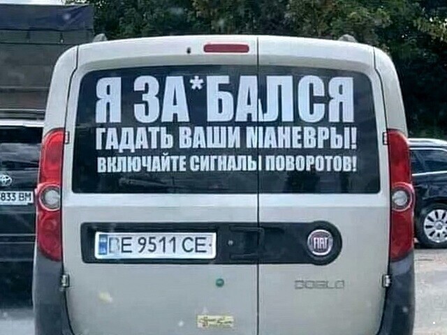 Автовсячина