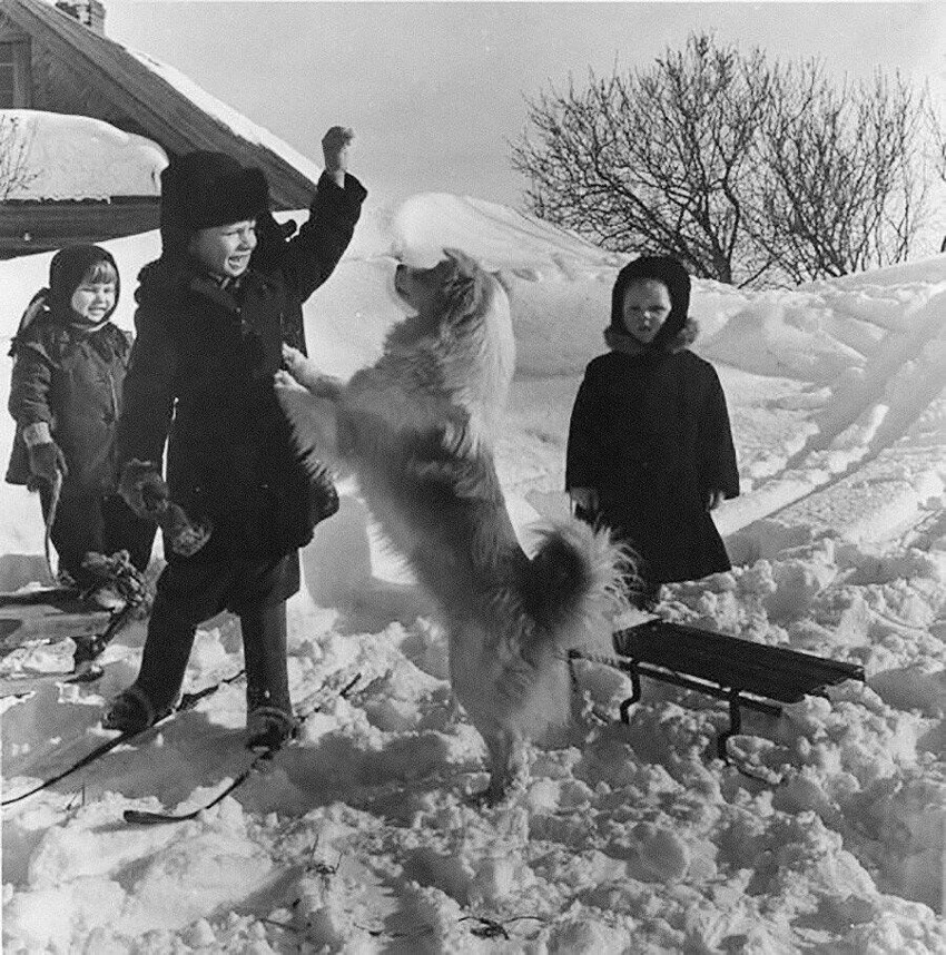 11. Зима в колхозе, 1960-е