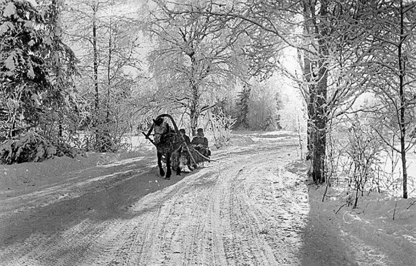 5. Морозное утро в лесу, 1950-е