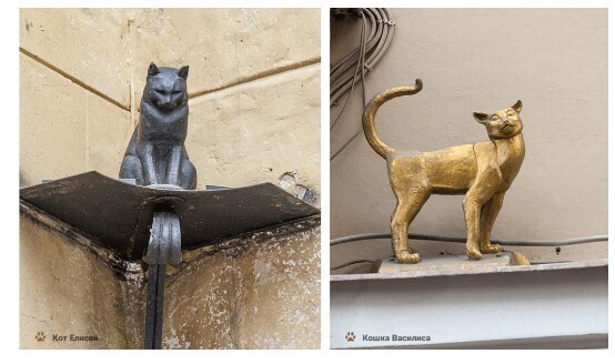 Как и почему в Петербурге любят котов: 5 основных «кошачьих» достопримечательностей
