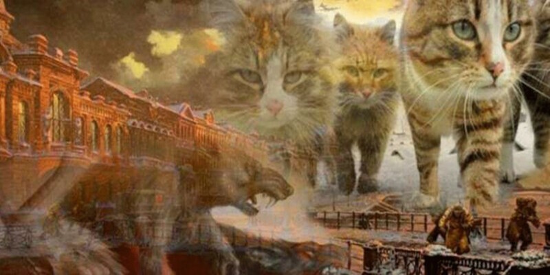 Как и почему в Петербурге любят котов: 5 основных «кошачьих» достопримечательностей
