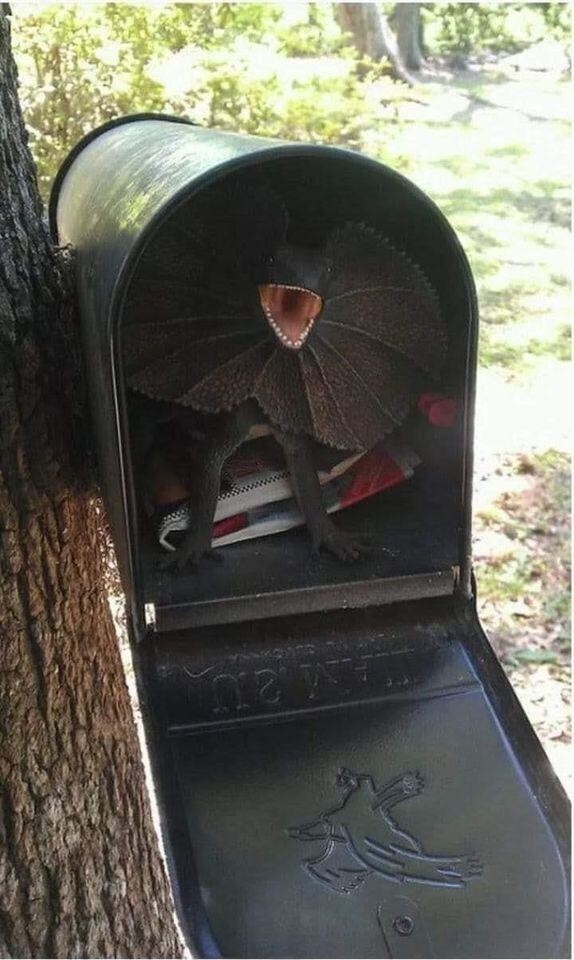 Даже почтовый ящик не может быть полностью безопасен