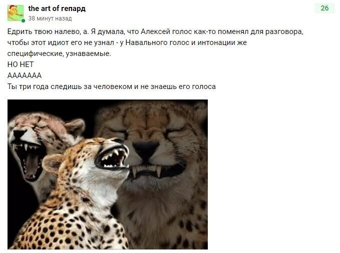 Все, Навальный раскрылся окончательно. Он ФСБ агент