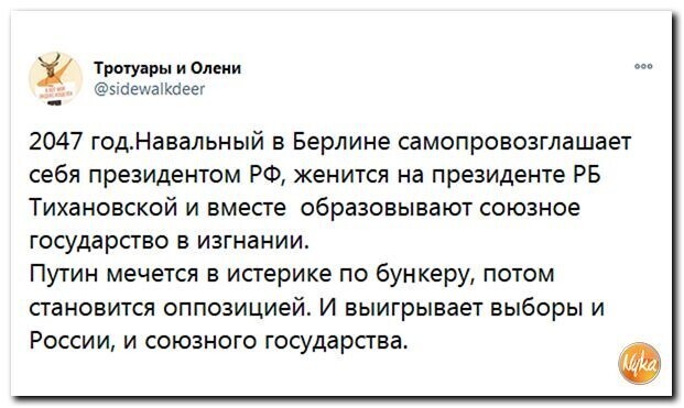 О политике и не только