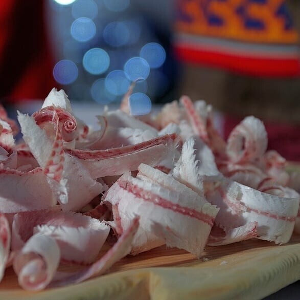 Сыроедение на Ямале: Сырое мясо и рыба во льду (6 фото)