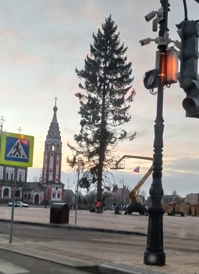 "Какой год - такая елка": в российских городах жалуются на зеленых новогодних калек