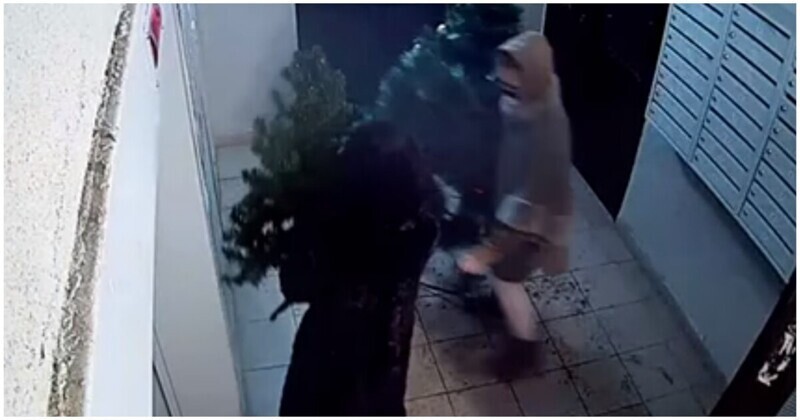 Выгодный обмен: прилично одетые женщины украли новогоднюю елку из подъезда