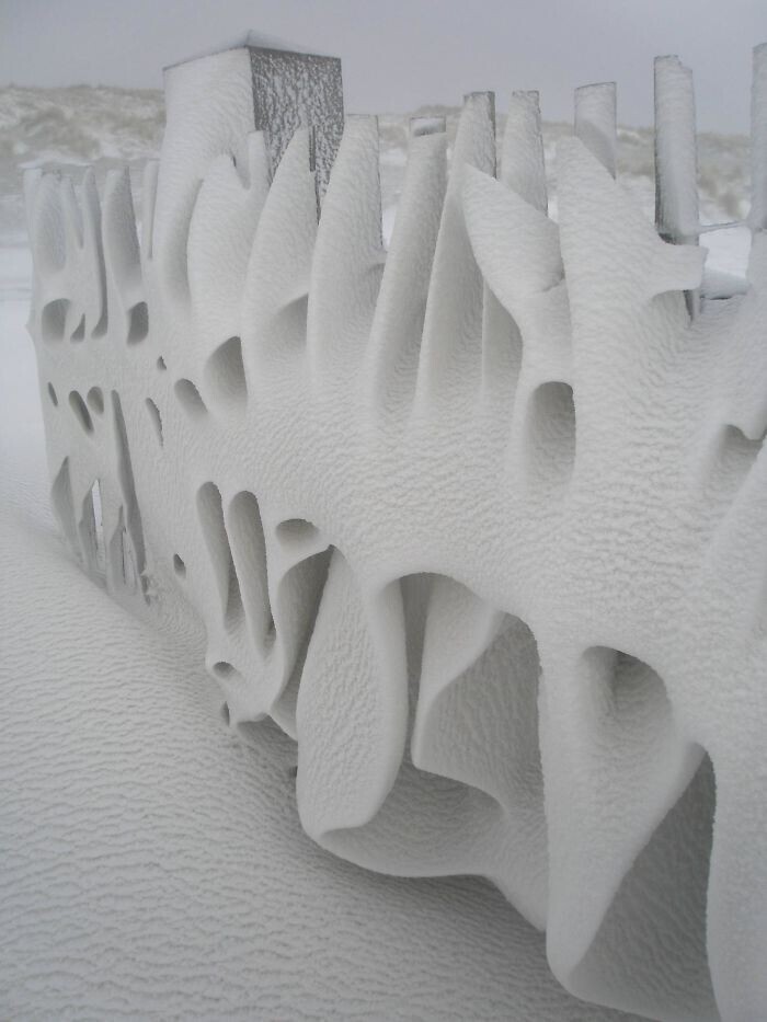 "Мой забор за ночь стал необыкновенной снежной инсталляцией. Это Нидерланды"