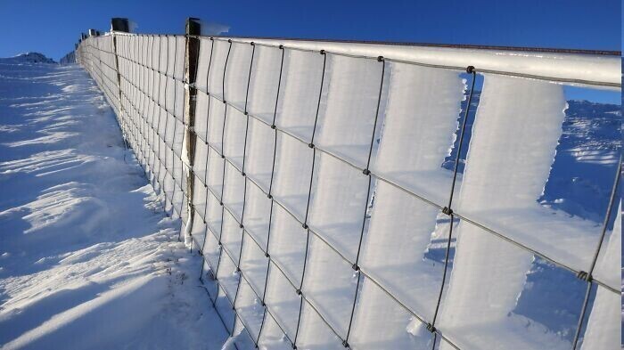 Вот что произойдет с забором из металлической сетки при постоянном ветре и морозе