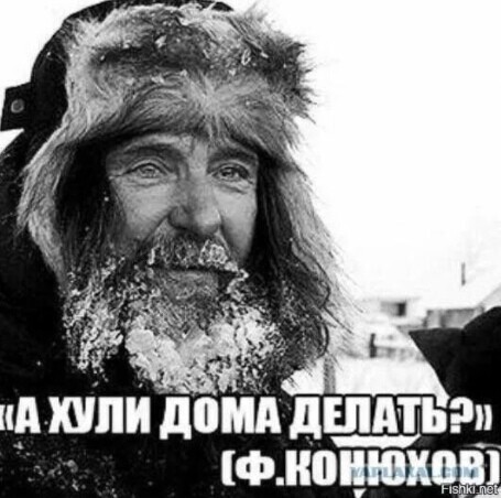 Политические комментарии из инета