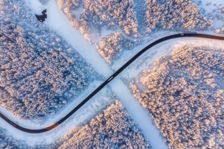 Фотокартинки недели