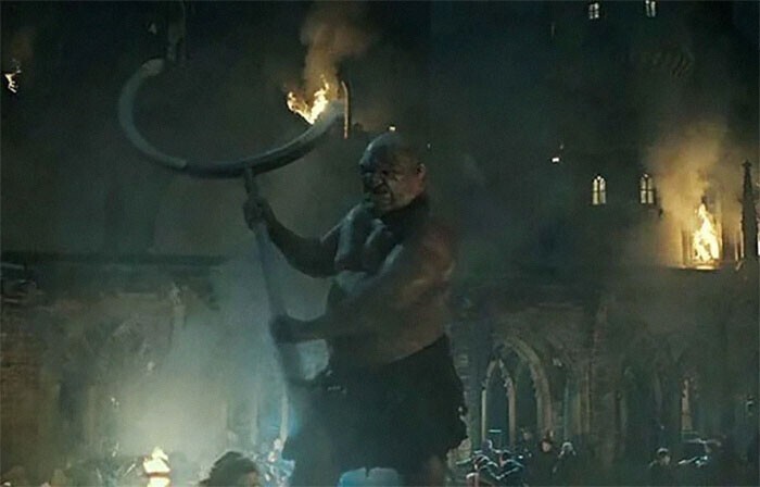 В "Гарри Поттере и дарах смерти", Часть 2 (2011), один из видов оружия гигантов в битве за Хогвартс - сломанная стойка ворот для квиддича