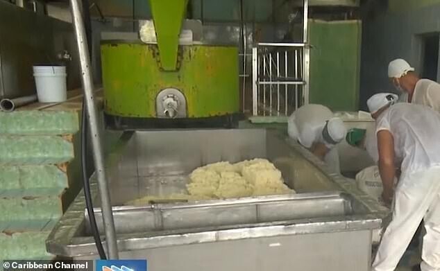 Заводские рабочие вчетвером украли больше тонны сыра