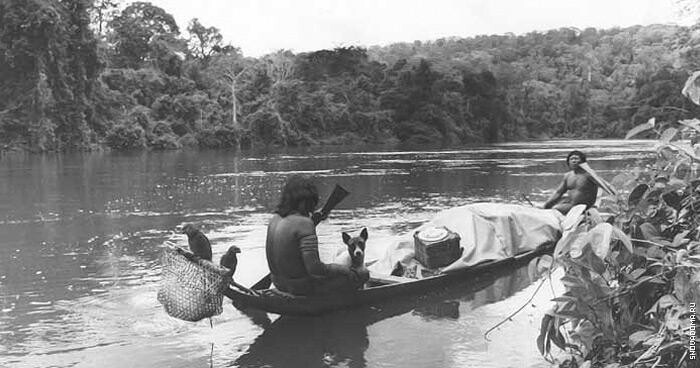 Амазонка, у истоков легенды
