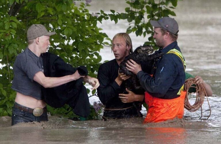 “Я бы себе не простил!” Уходя в машине под воду, парень спасает сначала кота, а потом – себя!