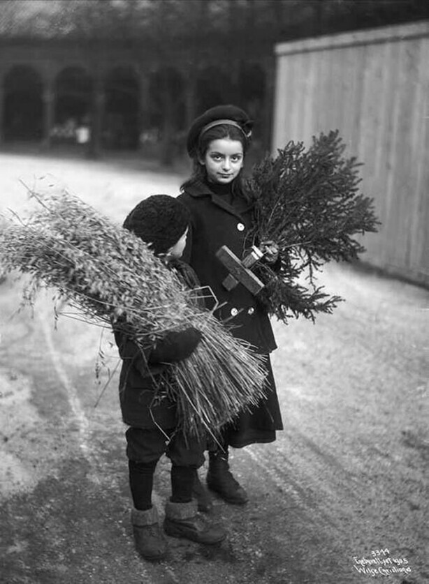 Скандинавские дети несут домой традиционные рождественские украшения. 1905 год