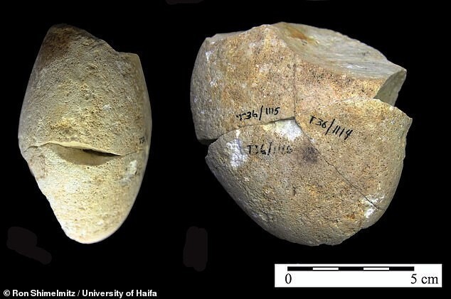 Археологи нашли самый древний инструмент