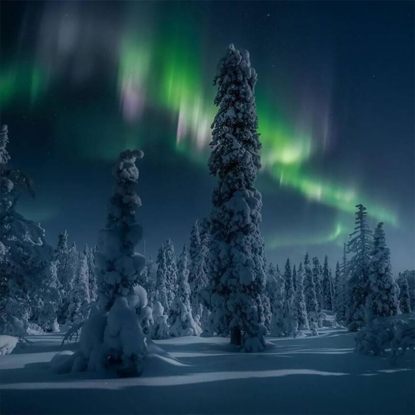 6. "Финляндия ночью", Ким Йенссен