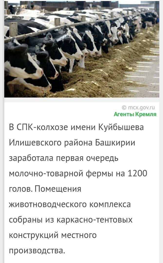Политические комментарии и другой разный юмор с сарказмом и без