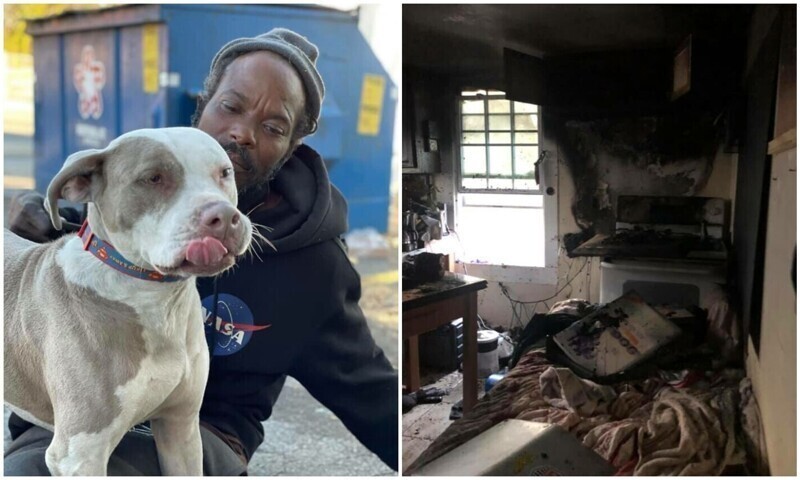 Бездомный мужчина ринулся в горящий приют и спас жизни животных