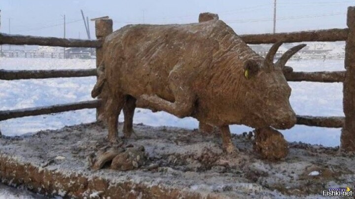 Бык из говна готов