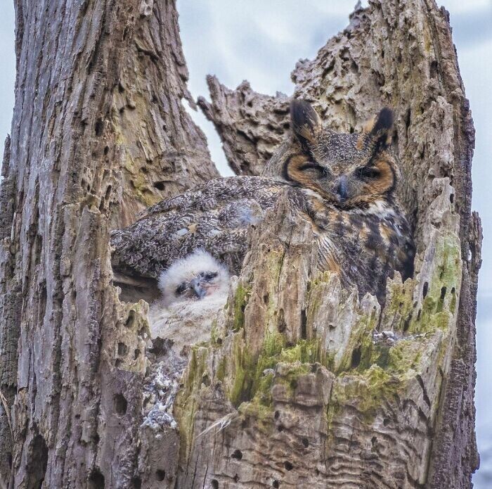 Фотограф кормит птиц с ладони и снимает их на камеру в замедленном движении